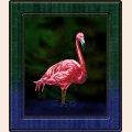 Набор для вышивания бисером ВЫШИВАЕМ БИСЕРОМ "Фламинго"
